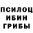 Галлюциногенные грибы Cubensis Lungu Victor