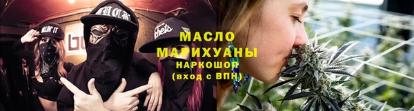 молекула духа Богданович