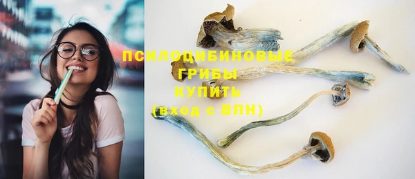 Альфа ПВП Белокуриха