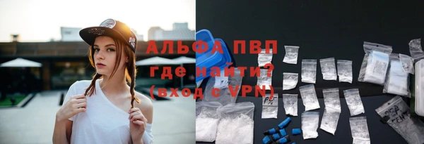 молекула духа Богданович