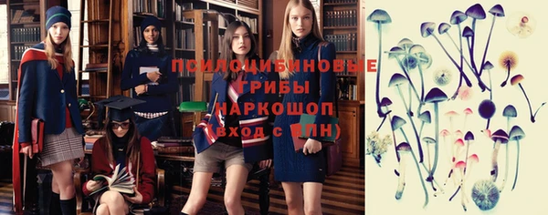 молекула духа Богданович