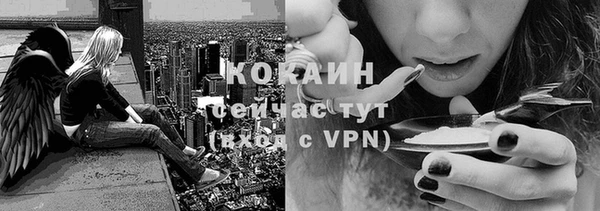 Альфа ПВП Белокуриха