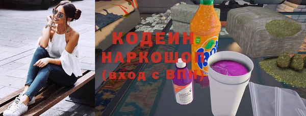 молекула духа Богданович