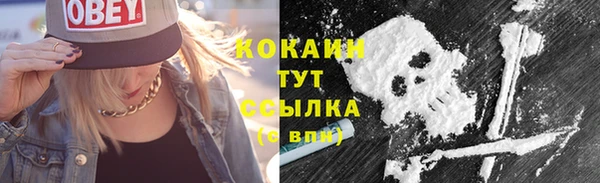 Альфа ПВП Белокуриха