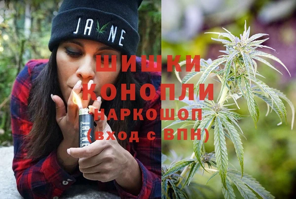 Альфа ПВП Белокуриха