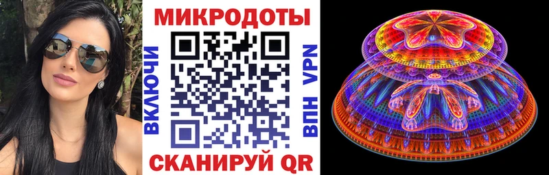 Псилоцибиновые грибы прущие грибы  Невель 